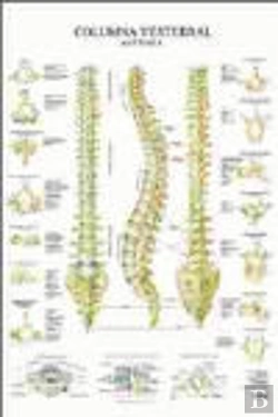 Bertrand.pt - Columna Vertebral Poster
