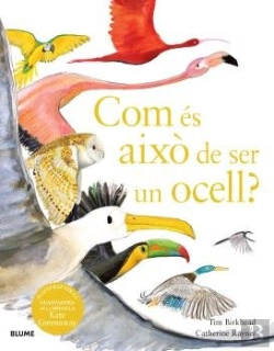 Bertrand.pt - Com Es Aixo De Ser Un Ocell