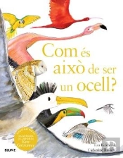 Com Es Aixo De Ser Un Ocell