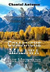 Comanche Malawa Blue Moutains