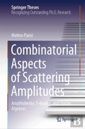 Combinatorial Aspects Of Scattering Amplitudes
