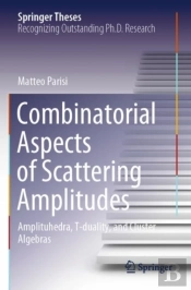Combinatorial Aspects Of Scattering Amplitudes