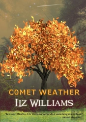 Comet Weather