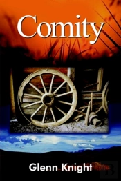Comity