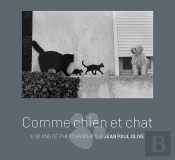 Comme Chien Et Chat