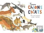 Comme Chiens Et Chats ; Deux Espèces Domestiques