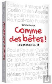 Comme Des Bêtes ! Les Animaux Au Lit