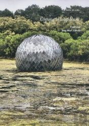 Comme Le Loup Blanc, Journal D'Une Biennale