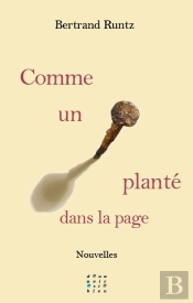 Comme Un Clou Planté Dans La Page