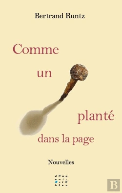 Bertrand.pt - Comme Un Clou Planté Dans La Page