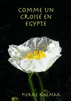 Bertrand.pt - Comme Un Croisé En Egypte