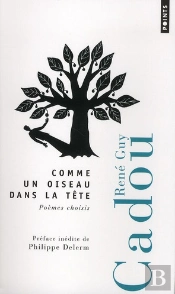 Comme Un Oiseau Dans La Tête