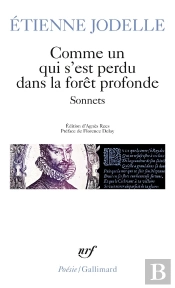 Comme Un Qui S'Est Perdu Dans La Forêt Profonde : Sonnets
