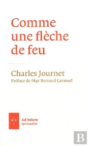 Comme Une Flèche De Feu