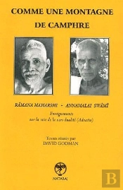 Comme Une Montagne De Camphre ; Enseignements De Ramana Maharshi...