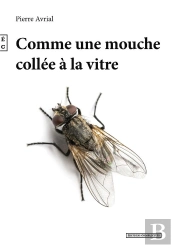 Comme Une Mouche Collée À La Vitre