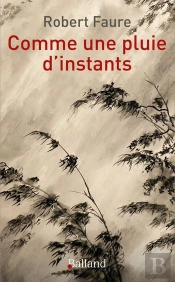 Comme Une Pluie D'Instants