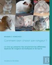 Comment Bien Choisir Son Rongeur