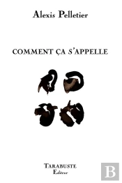 Comment Ca S'Appelle - Alexis Pelletier