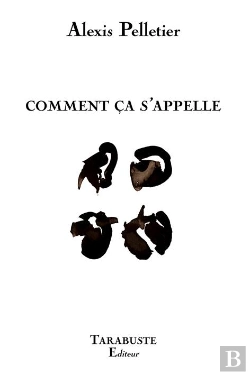 Bertrand.pt - Comment Ca S'Appelle - Alexis Pelletier