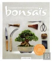 Comment Creer Et Entretenir Vos Bonsai