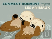 Comment Dorment Les Animaux