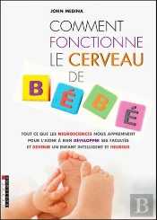 Comment Fonctionne Le Cerveau De Bebe ?