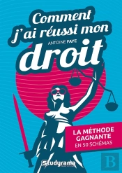 Comment J'Ai Réussi Mon Droit : La Méthode Gagnante En 50 Schémas