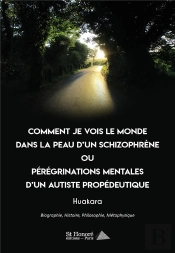Comment Je Vois Le Monde Dans La Peau D Un Schizophrene Ou Peregrinations Mentales D Un Autiste Prop