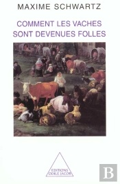 Comment Les Vaches Sont Devenues Folles
