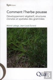 Comment L'Herbe Pousse. Developpement Vegetatif, Structures Clonales Et Spatiales Des Graminees