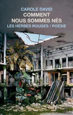 Bertrand.pt - Comment Nous Sommes Nes