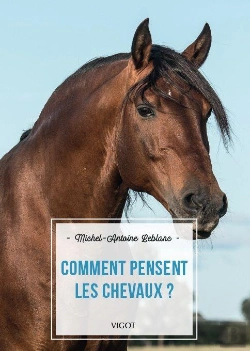 Bertrand.pt - Comment Pensent Les Chevaux ?