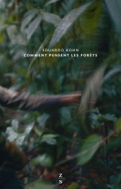 Comment Pensent Les Forêts