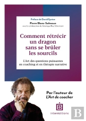 Comment Rétrécir Un Dragon Sans Se Brûler Les Sourcils : L'Art De Poser De Bonnes Questions En Coaching Et En Thérapie Narrative