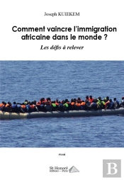 Comment Vaincre L'Immigration Africaine Dans Le Monde ? Les Defis A Relelver.