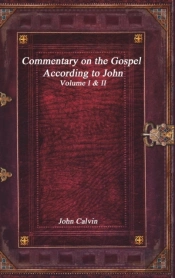 Commentary On The Gospel According To John