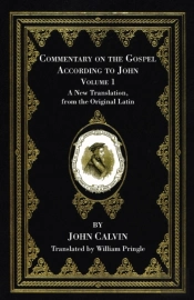 Commentary On The Gospel According To John, Volume 1