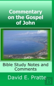 Commentary On The Gospel Of John