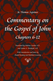 Commentary On The Gospel Of John