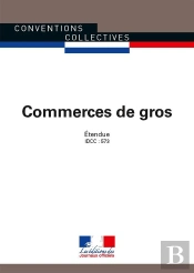 Commerce De Gros ; Convention Collective National Étendue, Idcc 573 (28e Édition)