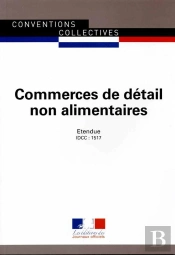 Commerces De Détail Non Alimentaires