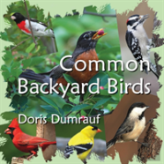 Common Backyard Birds