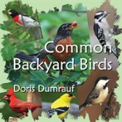 Common Backyard Birds