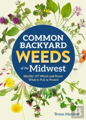 Common Backyard Weeds Of The Midwest