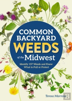 Bertrand.pt - Common Backyard Weeds Of The Midwest