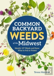 Common Backyard Weeds Of The Midwest