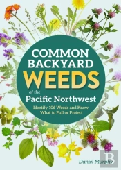 Common Backyard Weeds Of The Pacific Northwest