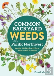 Common Backyard Weeds Of The Pacific Northwest