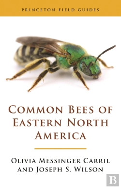 Bertrand.pt - Common Bees Of Eastern North America
